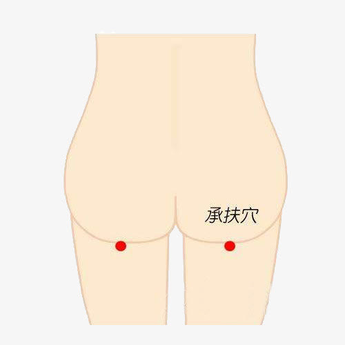 承扶穴.jpg